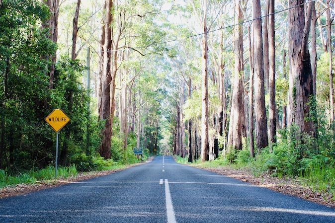 Gold Coast Hinterland